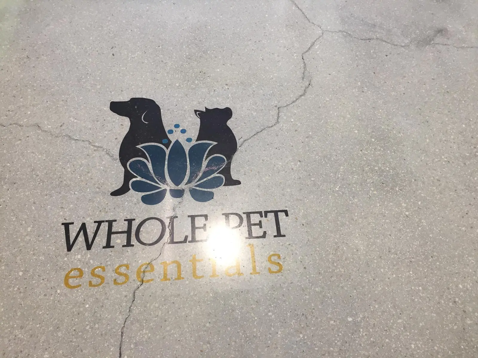 Polished concrete finish